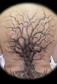 背部写实的大树纹身图案