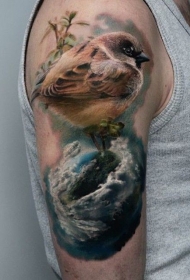 大臂写实逼真的彩色小鸟与云纹身图案
