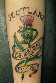 手臂彩色的花蕊和字母条幅纹身图案