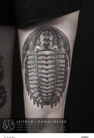 大腿黑色点刺甲虫纹身图案