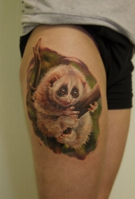 大腿可爱的白色狐猴坐在树枝上纹身图案