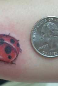 彩色小瓢虫纹身图案
