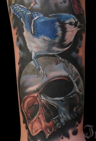 七彩骷髅蓝色小鸟纹身图案