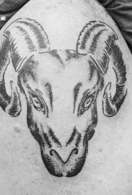 肩部黑色线条雕刻风格手绘山羊头部纹身图案