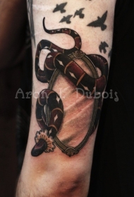 老派风格的彩色蛇与镜子纹身图片