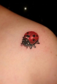 肩部彩色可爱逼真的瓢虫纹身图片