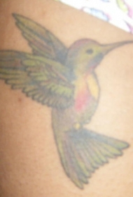 女性腿部彩色蜂鸟纹身图案