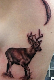 侧肋真正的鹿在月光下纹身图案