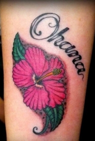 可爱的芙蓉花和字母纹身图案