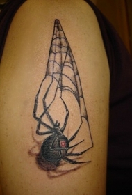 肩部逼真的蜘蛛编织手纹身图案