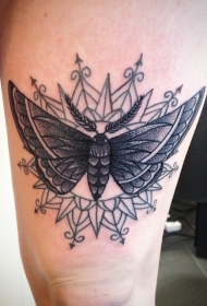 腿部黑色漂亮的飞蛾纹身图案