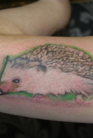小臂写实彩色的刺猬纹身图案