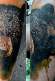 手臂华丽写实的彩色熊纹身图案