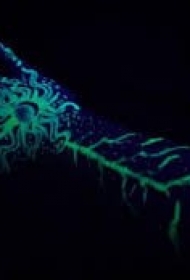 手臂上的绿色荧光纹身图案