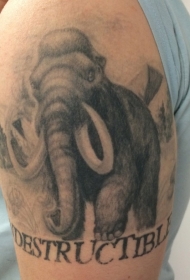 写实的黑白猛犸象手臂纹身图案