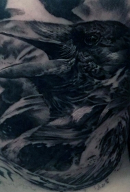 背部惊人的写实黑色乌鸦头像纹身图案