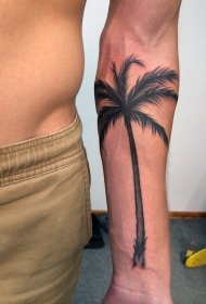 手臂精美的黑色写实棕榈树纹身图案