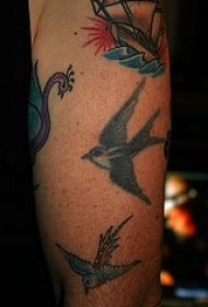手臂old school燕子纹身图案
