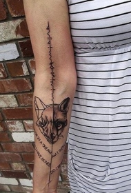 手臂科学风格半色半头骨纹身图案