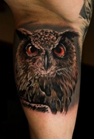 男生小腿上黑灰素描超写实3d猫头鹰纹身图片
