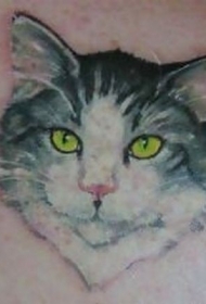 黄色眼睛的猫肖像纹身图案
