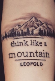 小臂黑灰色山与字母纹身图案