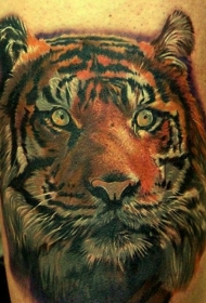 可爱逼真的老虎头纹身图案
