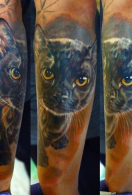 手臂彩绘令人毛骨悚然的写实猫纹身图案