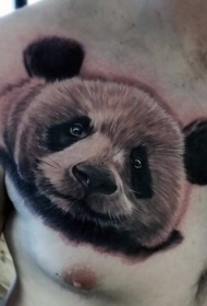 胸部熊猫自然头像纹身图案