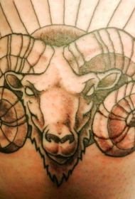 黑灰线条公羊头像纹身图案