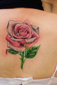 女生背部彩绘技巧植物素材文艺花朵纹身图片