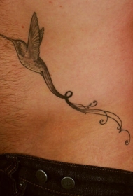 黑灰长尾蜂鸟纹身图案