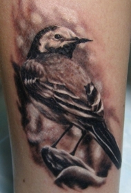 写实的黑灰麻雀纹身图案