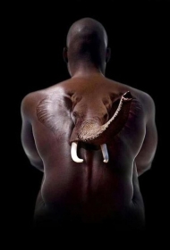 背部很酷的3D逼真大象纹身图案