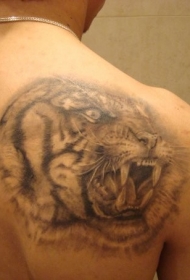 肩部灰色咆哮的老虎头纹身图案