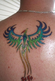 男性背部多彩的部落凤凰纹身