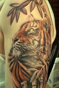 肩部彩色老虎在丛林纹身图案