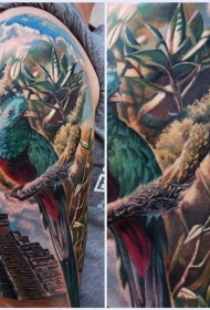 肩部彩色玛雅金字塔的鹦鹉纹身图片