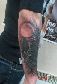 手臂彩色逼真夜森林纹身图案