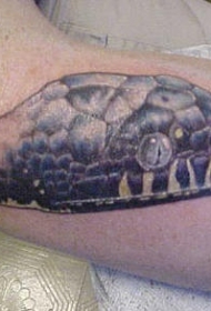 腿部彩色逼真的蛇头纹身图案缩略频道推荐图