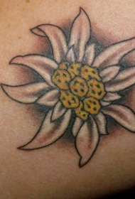 精美漂亮的小甘菊小臂纹身图案