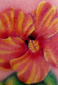 肩部五颜六色的木槿花纹身图案