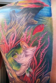 背部美丽的五彩水下世界纹身图案
