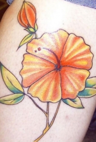 腿部彩色橙色的木槿花纹身图案
