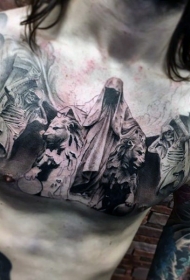 胸部可怕的神秘死神与狮子骷髅纹身图案