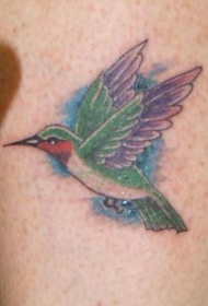 肩部彩色现实的蜂鸟纹身图片