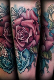 手臂古老的彩色各种花卉和蝴蝶纹身