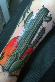新风格的彩色大沙漠仙人掌纹身图片