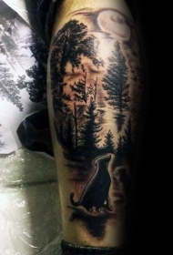 黑暗森林中猫的彩色纹身图案