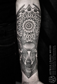 神秘的黑白点刺鹿头与梵花纹身图案